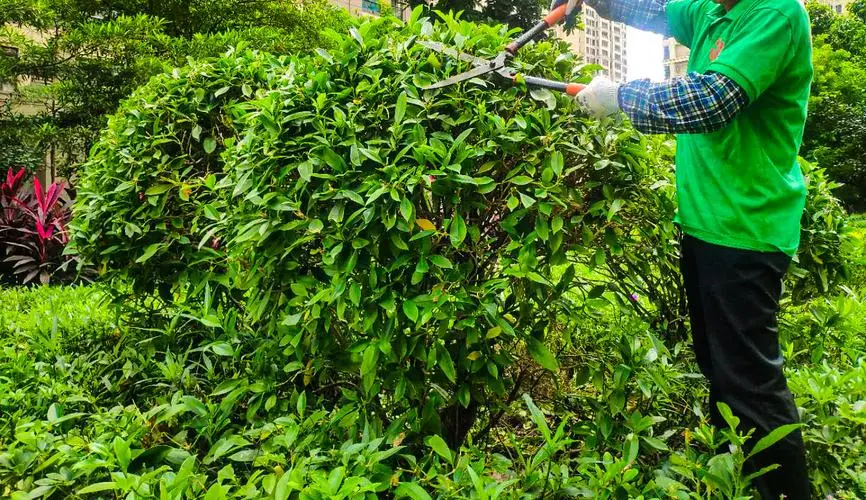 全天的室内健身计划