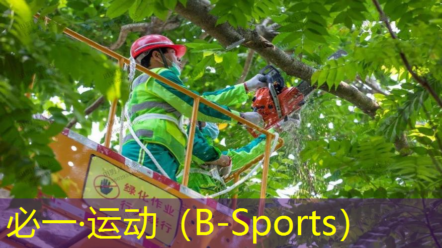 打篮球辅助器材