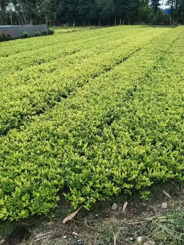 有氧健身室内